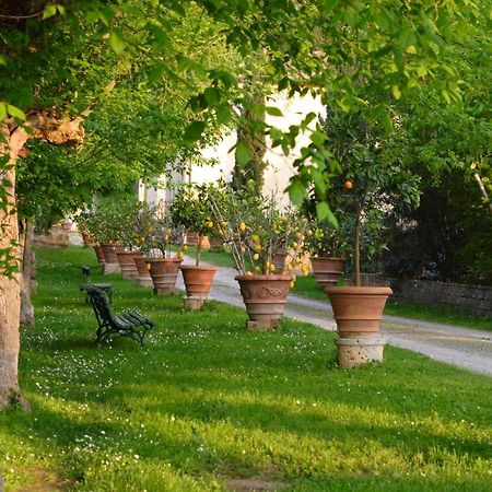 Апартаменти Iris Поджібонсі Екстер'єр фото